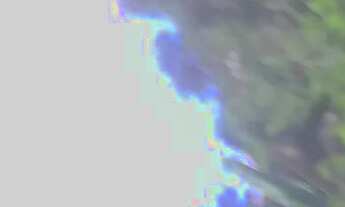 Imagem 5: Terreno com Área Verde em Local Tranquilo