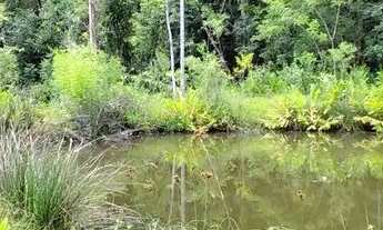 Imagem 3: Chácara 2 hectares valor 109,000,00 avista