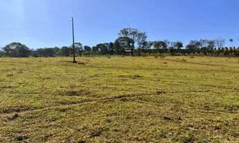 Imagem 6: Chácara em Nerópolis 3 alq. só R$ 1.500.000