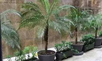 Imagem 4: Sala, 401 m² - venda por R$ 1.580.000,00 ou aluguel por R$ 26.100,00/mês - Comércio - Salv