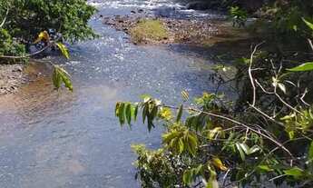 Imagem 4: Vende-se uma excelente fazenda de 149.9 hectares
