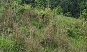 Imagem 6: Chácara, uruaçu Goiás 999.999,00