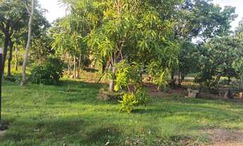 Imagem 2: Vende-se chácara na vila sadia