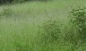 Imagem 2: Terreno em ótima localização