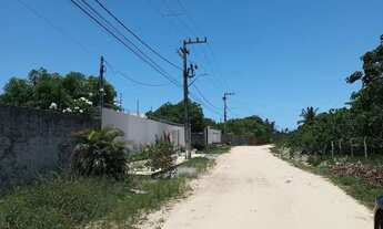 Imagem 2: TERRENO NO MOSQUEIRO - (ESCRITURADO - 300 METROS) - SOMBRA - OFERTA!