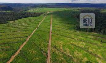 Imagem 4: Fazenda/Sítio/Chácara para venda possui 120000000 metros quadrados em Zona Rural - Comodor