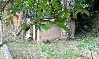 Imagem 15: Casa em Ramada - Miguel Pereira