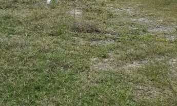 Imagem: Excelente Terreno com 420m² pertinho do