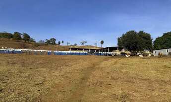 Imagem: Fazenda 77 alqueires em Goiás velho-GO