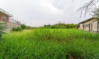 Imagem 6: Terreno Residencial - Alto de Pinheiros - 1.541m²