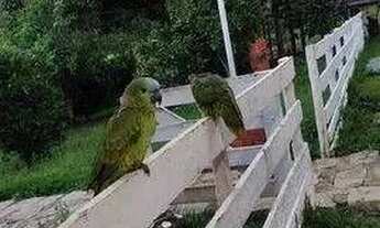 Imagem 7: Fazenda com à venda, 60000 m² por R$ 1.490.000