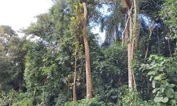 Imagem 5: Terreno à venda, 509 m² por R$ 300.000,00 - Vila Verde - Itapevi/SP