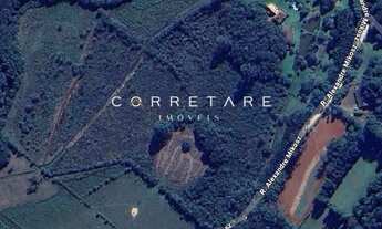 Imagem 6: ESTUDA PERMUTA: Chácara com 110.000m² em Campo Largo com casa sede completa, piscina, 3 qu