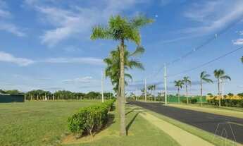 Imagem 7: Casa no Condomínio Residencial Alphaville I Araçatuba/SP