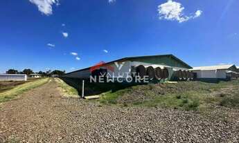 Imagem 3: Chácara em Rua Santo Antônio, 544 - Centro - São Miguel do Iguaçu/PR