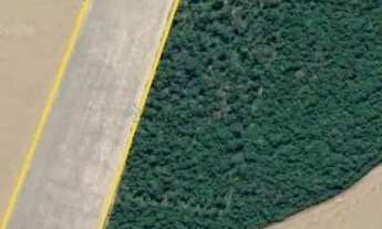 Imagem: Fazendinha de 121 hectares 30 km do centro