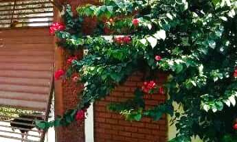 Imagem: CHACARA PARAISO