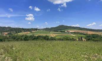 Imagem 5: Ótimo momento de investimento