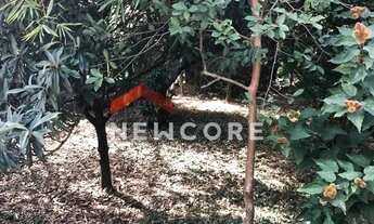 Imagem 5: Chácara em Rua Henedina Oliveira Bresler - Bela Vista - Paulínia/SP