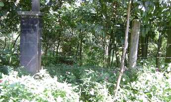 Imagem: Lote em Rua Roma - Granja Viana - Cotia/SP