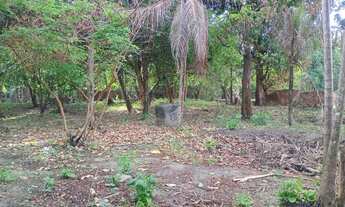 Imagem 8: SITIO NO MARACANÃ