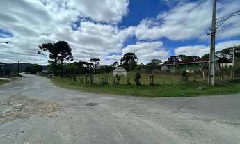 Imagem 3: TERRENO COM 768m² EM CAMPO LARGO