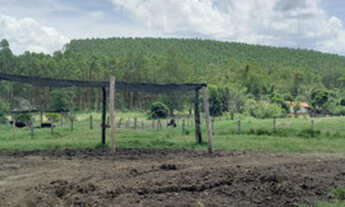 Imagem 3: Excelente sitio plano 18 ha 500 metros próximo ao asfalto oportunidade!