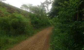 Imagem 3: Oferta Imperdível - Sítio com Riacho - ST00012