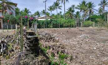Imagem 5: Terreno litoral norte de Ilhéus a 150 mts da praia com energia elétrica