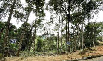 Imagem 3: Terreno à venda 427 m² - Cônego - Nova Friburgo/RJ