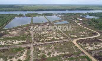 Imagem 3: Fazenda no Pará - Curuçá - 54 ha (11 alq