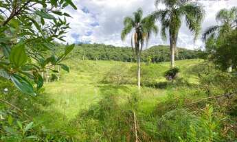 Imagem 3: Terreno para sítio em Vila Doze - Antonio Carlos
