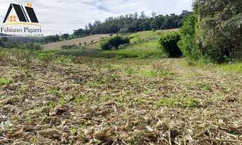 Imagem 7: Terreno para Venda em Pinhalzinho, zona rural