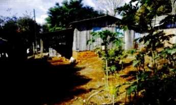 Imagem: Leilão Coorporativo 4287