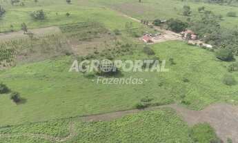 Imagem: Fazenda no Pará - Aurora do Pará - PA