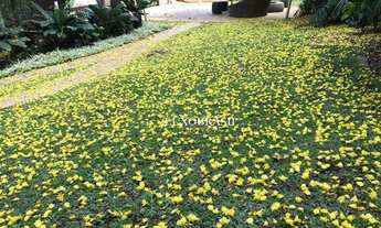 Imagem 7: Casa com 04 dormitórios à venda, 1219 m² por R$ 3.950.000 - Barra da Tijuca - Rio de Janei