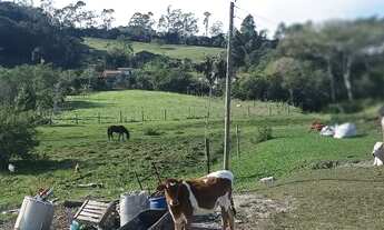 Imagem 7: Sitio em Imaruí-SC