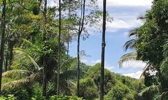 Imagem 6: Fazendinha para Venda em Cachoeiras de Macacu, Papucaia, 5 dormitórios, 3 suítes, 5 banhei
