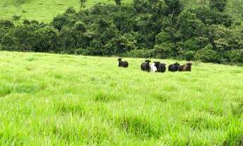 Imagem: 1 alqueire e 47 litros