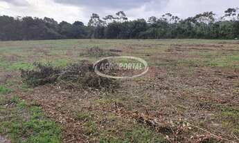 Imagem 2: Fazenda no Pará - Igarapé-Açu - 425 ha (88 alq