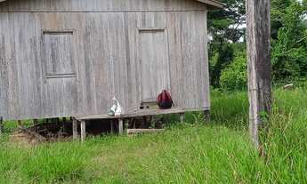 Imagem 5: Vendo ou troco uma Terra em Feijó