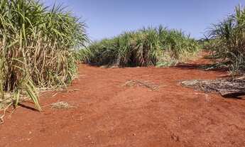 Imagem 2: Fazenda em mococa 100 alqueires 12.000.000.00 ( don
