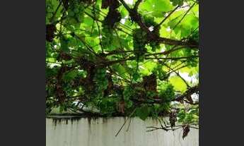 Imagem 2: Casa com 4 dormitórios, 450 m² - venda por R$ 3.190.000 ou aluguel por R$ 14.025/mês - Jar