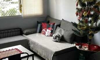 Imagem 3: São Paulo - Apartamento Padrão - Cambuci