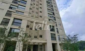 Imagem 2: Santo André - Apartamento Padrão - Vila Gilda