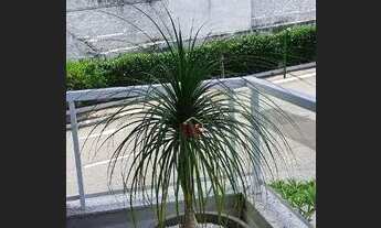 Imagem 5: Sobrado com 4 dormitórios à venda, 376 m² por R$ 2.900.000,00 - Urbanova - São José dos Ca