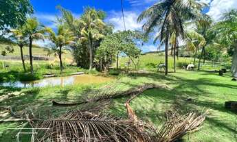 Imagem 2: Fazenda/Sítio/Chácara para venda tem 22000 metros quadrados com 2 quartos