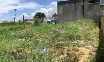 Imagem 2: Vende-se. Loteamento em Santo Antônio de Jesus