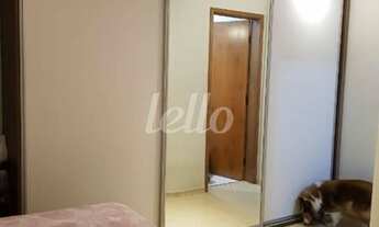 Imagem 7: Santo André - Apartamento Padrão - Campestre