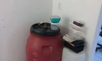 Imagem 7: Aluga-se apartamento